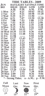 Tide chart