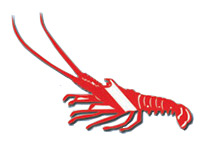Lobster Dive Decal 8